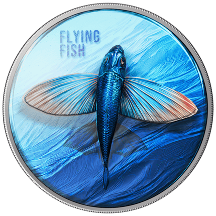 2026 cameroon flying fish uhr 1 oz silver coin (05/29) active offers, collectible coins, animal theme