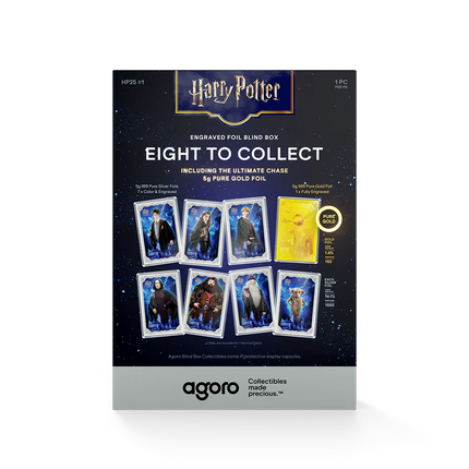 Harry Potter Blind Box - 25 Years of Magic Silver Foil Blind Box - Agoro New