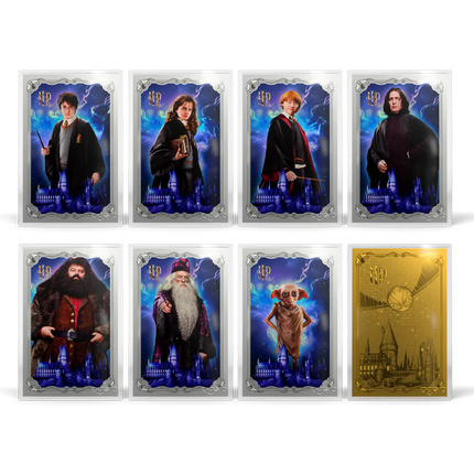Harry Potter Blind Box - 25 Years of Magic Silver Foil Blind Box - Agoro New