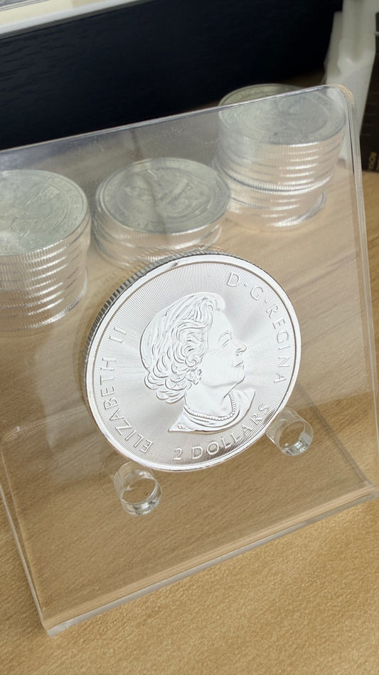2018 Canadian Polar Bear 1/2 oz Silver Coin 9999 Fine Silver Round BU