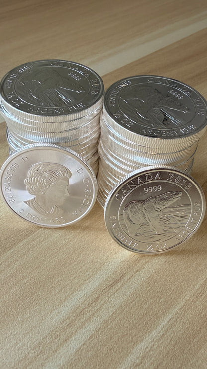 2018 Canadian Polar Bear 1/2 oz Silver Coin 9999 Fine Silver Round BU