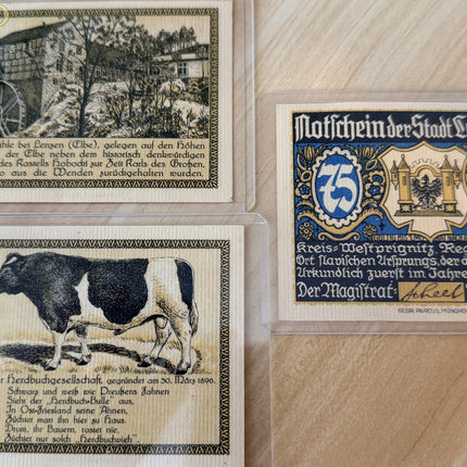 1920 Germany Senftenberg Notgeld – 25 & 50 Pfennig (3 Notes) Matching Coat-of-Arms Series Genventro