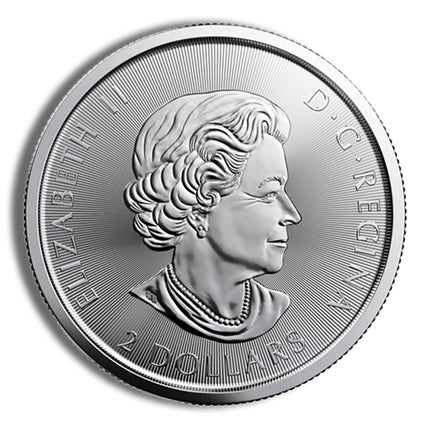 1/2 oz canadian red tail hawk silver coin (year varies)