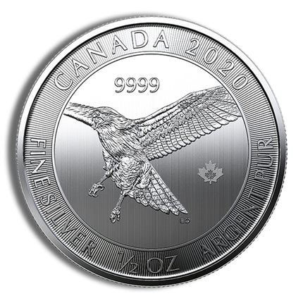 1/2 oz canadian red tail hawk silver coin (year varies)