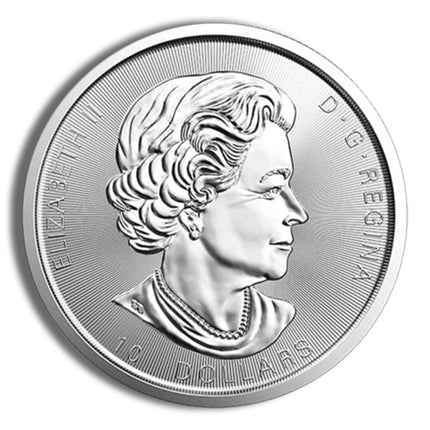 2 oz canadian twin maple leaf silver coin (year varies)
