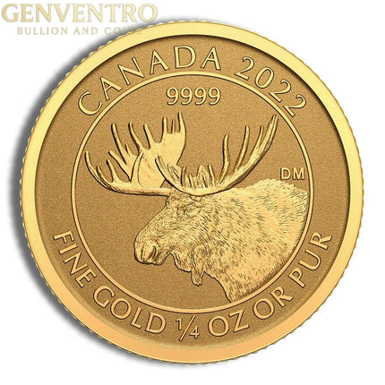 2022 1/4 oz Canadian Moose Gold Coin Genventro Bullion and Coins