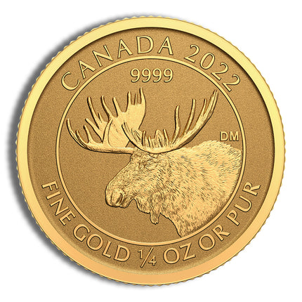 2022 1/4 oz canadian moose gold coin