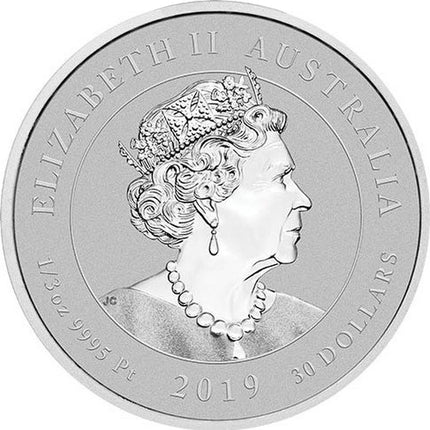 2019 1/3 oz australian bottlenose dolphin platinum coin
