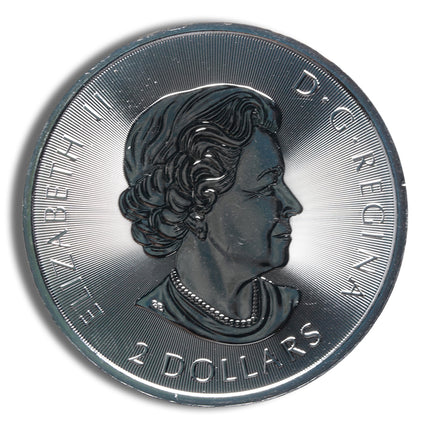 2018 1/2 oz canadian polar bear silver coin